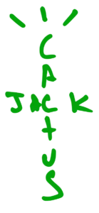 Cactus Jack Footer Logo